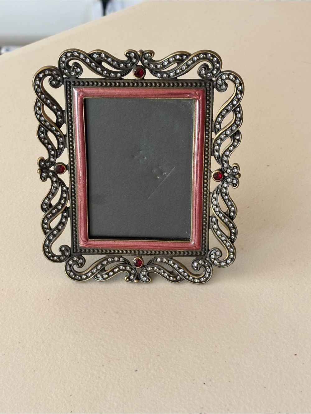 Vintage-Style Metal Picture Frame with Pink Trim and Red Gem Accents